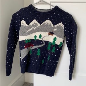 Hanna Anderson holiday sweater